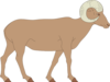 Walking Bighorn Sheep Clip Art